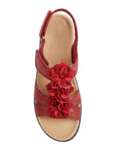 0d4c8c08029f41bebd9e5dfa9aff682d-Max-Origin - Miniatuur