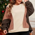 Brown Exposed Seam Colorblock Plus Size Hoodie - Damesmode Afbeelding 5 - Foto 5