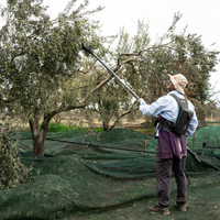 Cretan Heritage – One Root Bio thumbnail