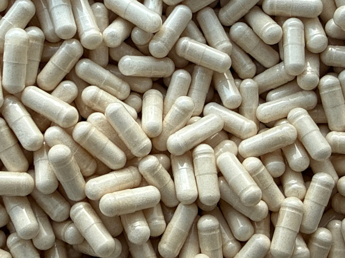 Beta-Ecdysterone 98% – Capsules – BulkLab Nutrition