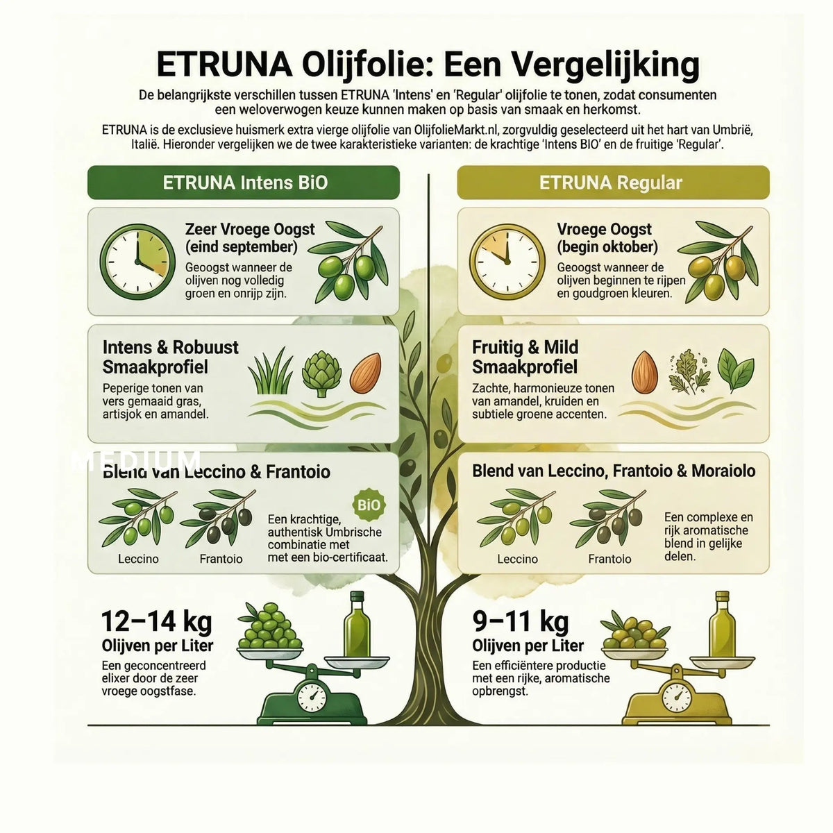Etruna – Duo: Intense & Regular