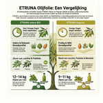 Etruna – Duo: Intense & Regular &ndash; Detail 4 | RedBlad