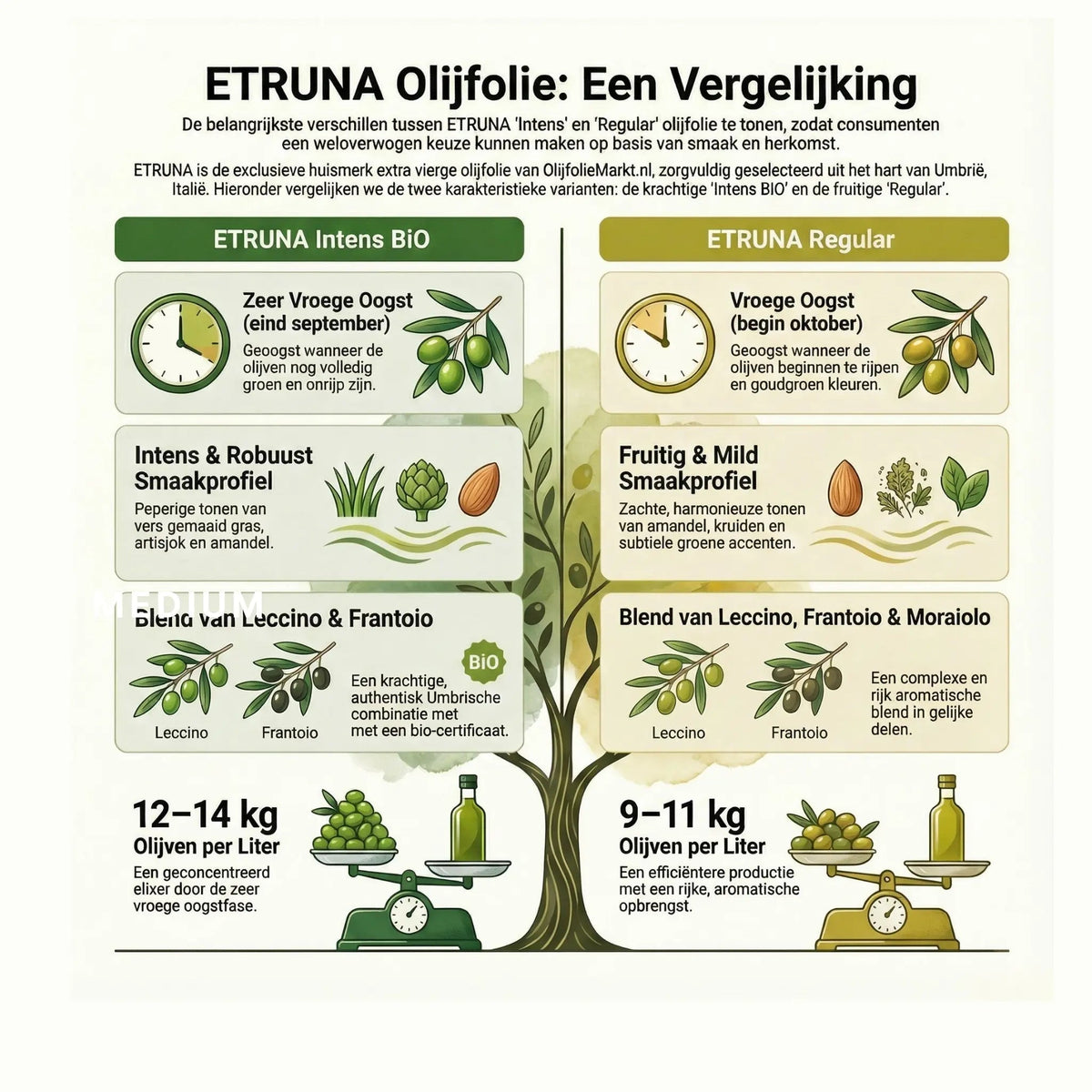 Etruna Intense Bio, foto 5