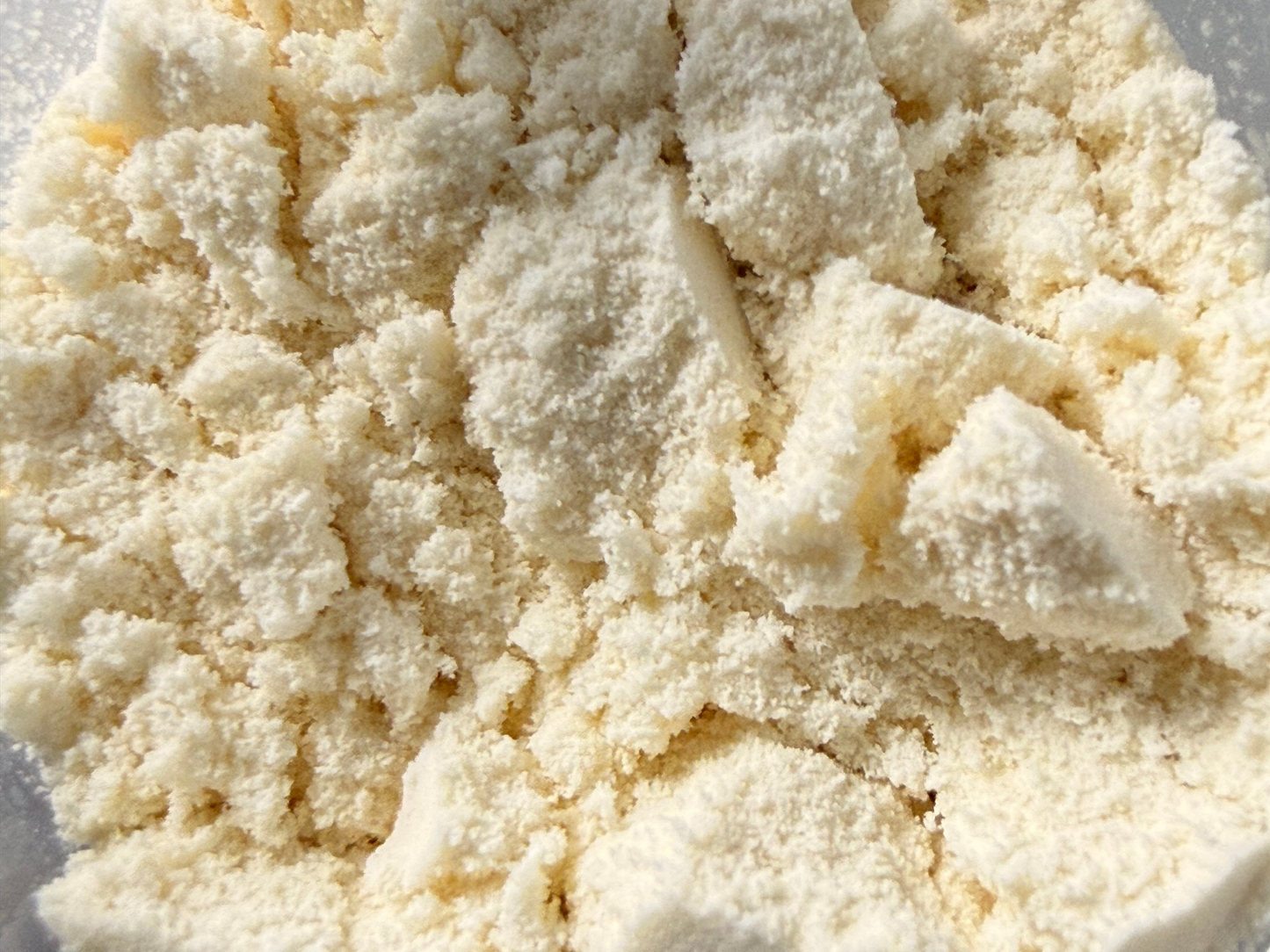 WPC 80 Instant – Bulk Powder– BulkLab Nutrition