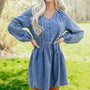 Myosotis Puff Sleeve V Neck Ruffled Loose Denim Mini Dress