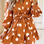 Brown Polka Dot Long Sleeve Tie Waist Casual Shift Mini Dress