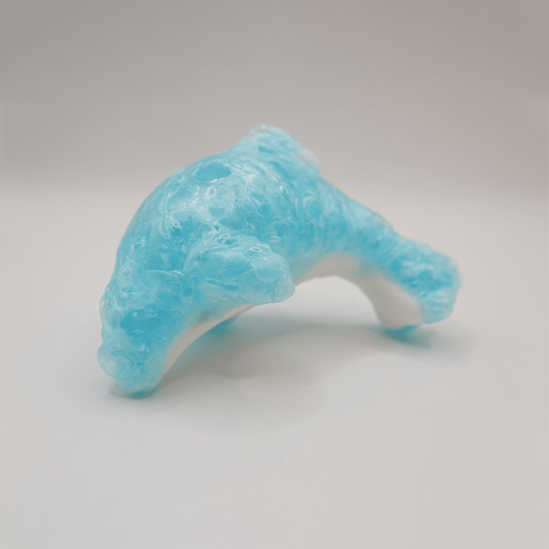 Freeze Dried Dull Dolphins