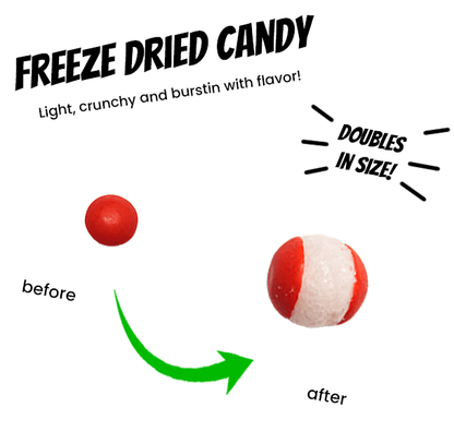Freeze Dried Skittles Citrus