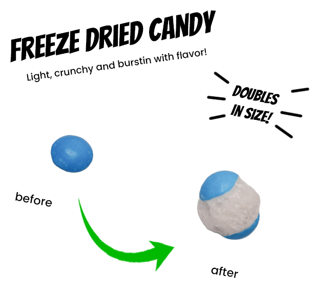 Freeze Dried Skittles Tropical