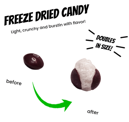Freeze Dried Skittles Wild Berry