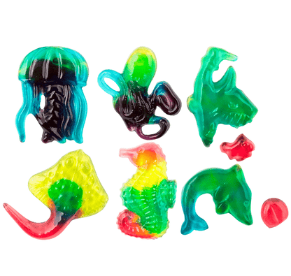Ocean Jelly